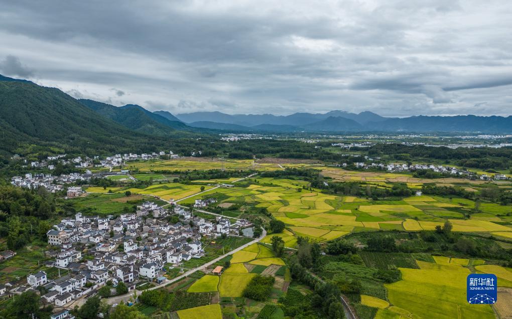 新京葡官网